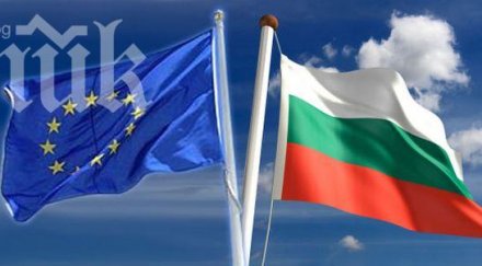 франкфуртер нойе пресе българия управлява организираната престъпност