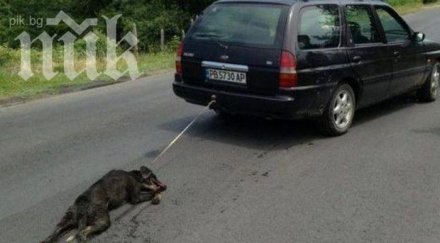 става ясна присъдата изверга райчо умъртвил кучето