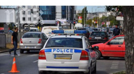 шофьор отнесе момиче зебра варна разплака неудържимо