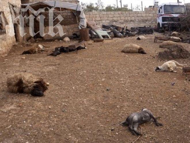 Седем загинаха при експлозия на сирийско-турската граница