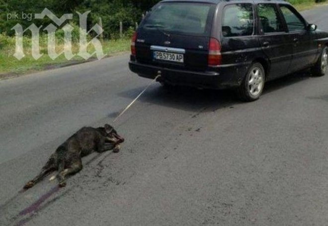 Днес става ясна присъдата на изверга Райчо, умъртвил кучето си