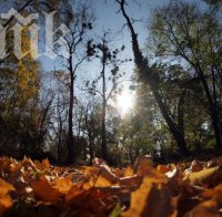 Най-топла ще е есента в края на септември