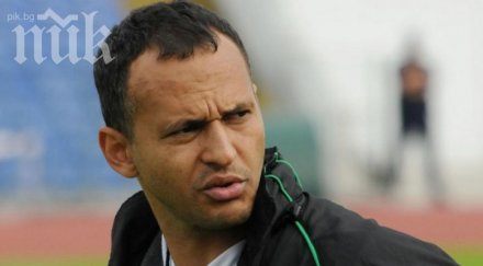 треньорът бистришките тигри заради борисов заливат злоба
