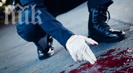 кошмар деца убиха бездомник забавление