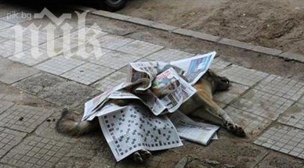 мерзост кучемрази разменят отрови фейсбук