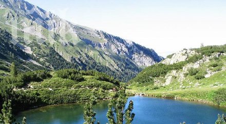 зелените организации провалиха новия план управление пирин