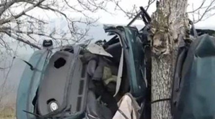 младеж оживя чудовищен удар дърво