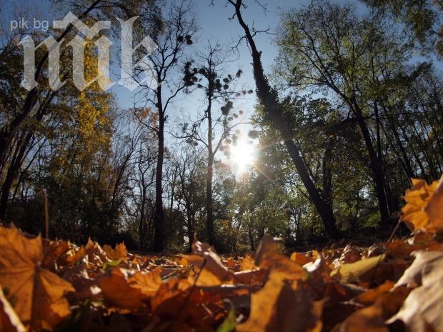 Най-топла ще е есента в края на септември