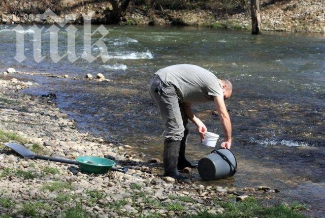 Родни златотърсачи се събират на таен конгрес в Странджа