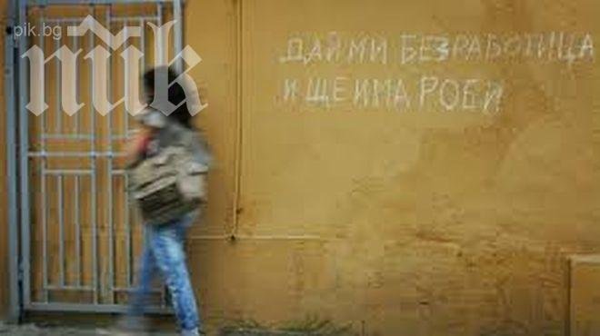 Чудо! Младежката безработица във Видинско намаляла през август