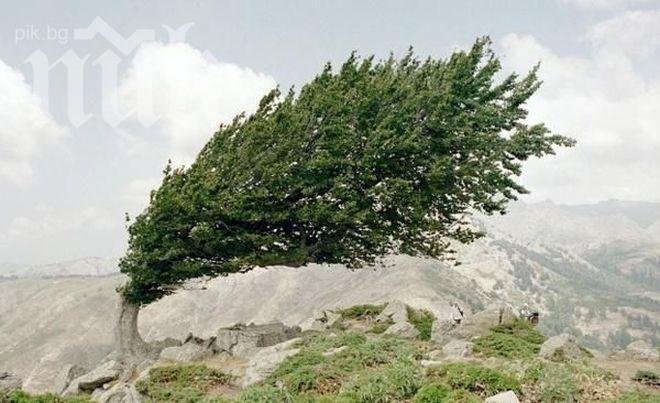 И днес времето ще остане ветровито, максимални температури между 20° и 25°