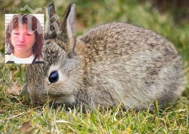 Наркоманка обезглави зайче пред очите на децата си, било й скучно