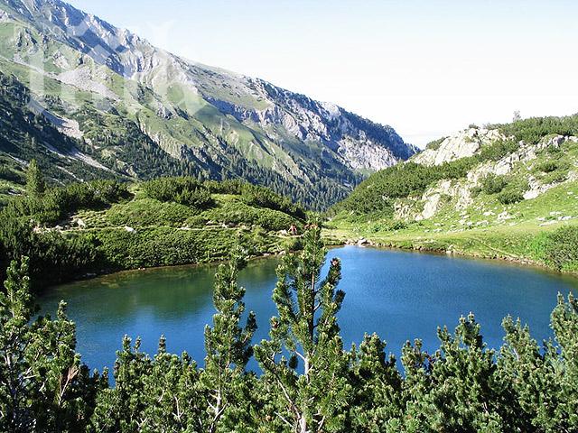 Зелените организации провалиха новия план за управление на Пирин