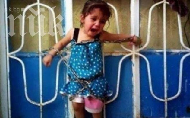 Жестокост!  Ал Кайда върза дете с вериги да гледа докато измъчват и убиват родителите му