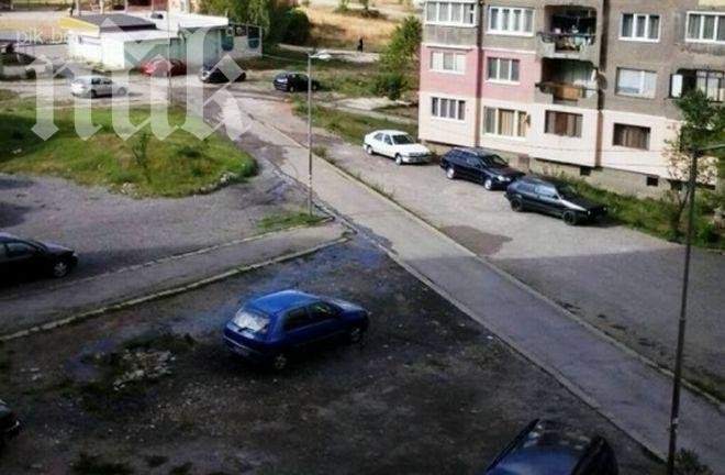 Ужас: Река от изпражнения тече в Перник, никой не взима мерки