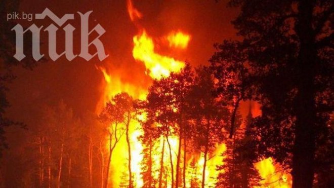 Голям пожар пламна край Казанлък след стрелба на военния полигон (Снимки)