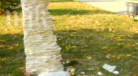 вандали унищожиха скулптура разград