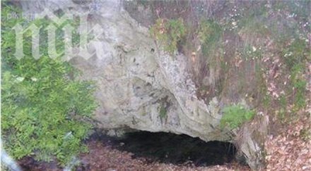 разкопават парк странджа заради злато 500 млн евро