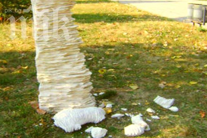 Вандали унищожиха скулптура в Разград