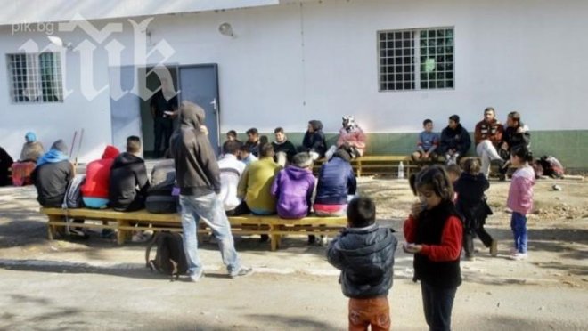 Бежанците направиха живота ни ад!