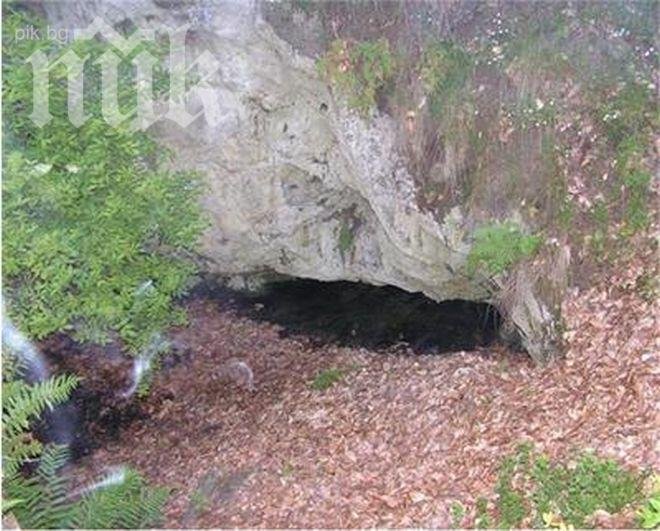 Разкопават парк Странджа заради злато за 500 млн. евро