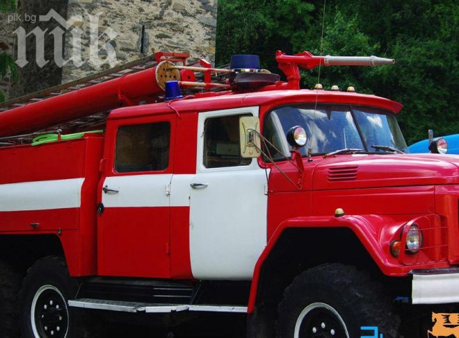 Изгоряха 50 дка лавандула