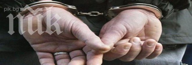 Задържаха 21 неонацисти в Чехия по време на демонстрация срещу ромите