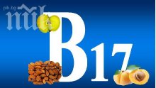 Лекува ли рак витамин В17?