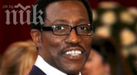 уесли снайпс друса кючеци софийска дискотека