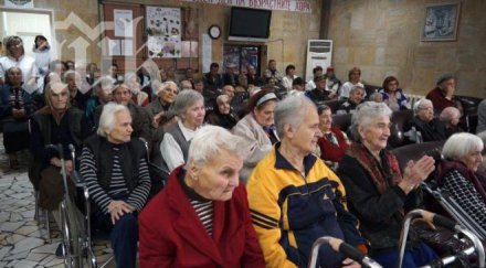 млади гербери подариха сърди човече старчески дом