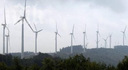 съди заради ветропарк калиакра