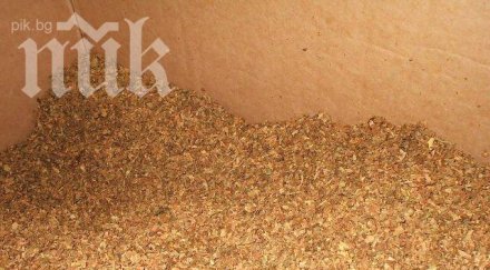 внасянето арабски тютюн хит контрабандата