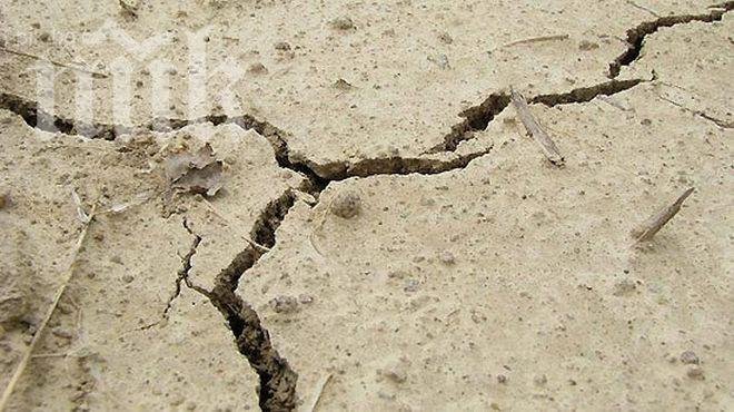 6 по Рихтер разтърси бреговете на Камчатка