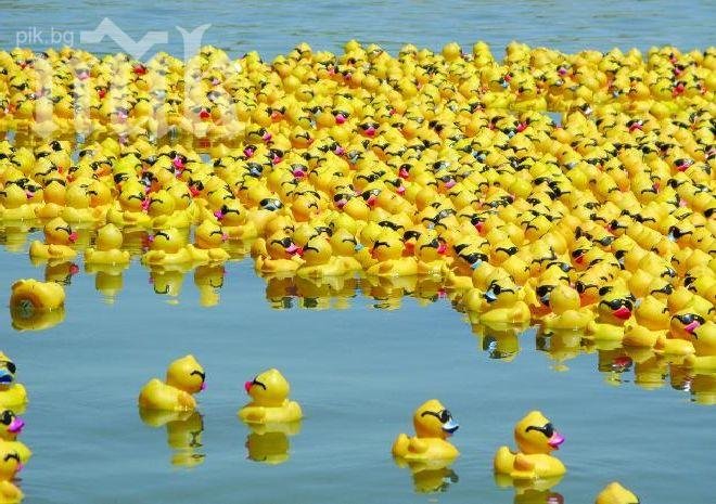 3000 патета ще се състезават по Марица