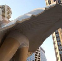 Професор снима тайно бельото на студентки