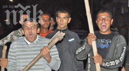 съветът европа стартираха програмата интеграция циганите българия