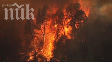 огнена стихия погуби трима души москва