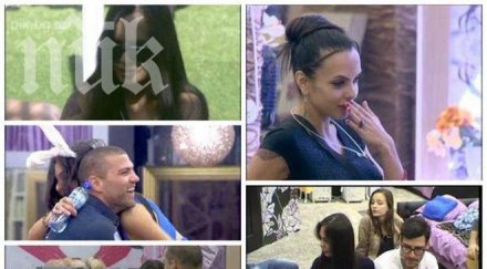 кукувица скара съквартирантите вип брадър павел избухна