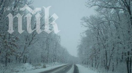 сняг падна пловдивско реколтата напълно унищожена хората безизходица