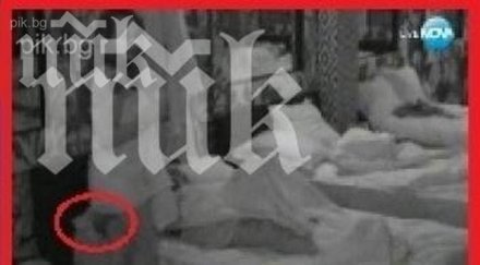 лияна докара жената тервел пулев истерия