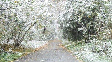 пловдивски села осъмнаха сняг