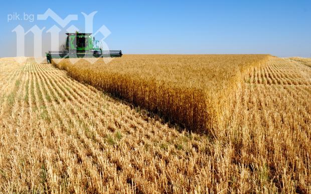 Земеделците от Пловдивско искат помощ за над 2,2 млн. дка