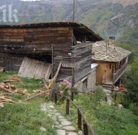 Кървав селски екшън! Мъж уби кравар - гръмна го в главата с ловна пушка