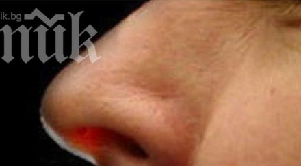 биолог откри непознат животински вид носа