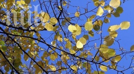 понеделник слънчево леко затопляне