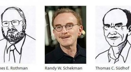 двама американци немец носителите нобелова награда физиология медицина