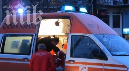 тежка катастрофа заради кон наниза коли бус пътя перник софия