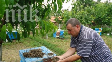 пчеларите вдигат национален протест