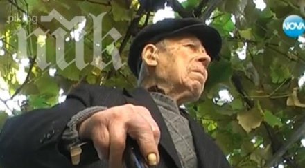 старият българин 102 яде мед цепи дърва ходи без бастун