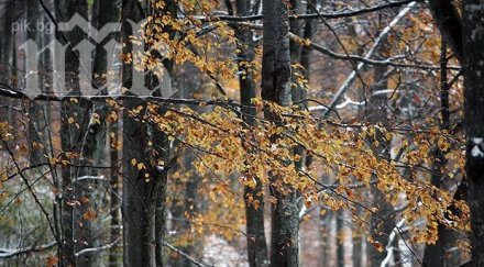 свръхниски температури измерени изминалата нощ